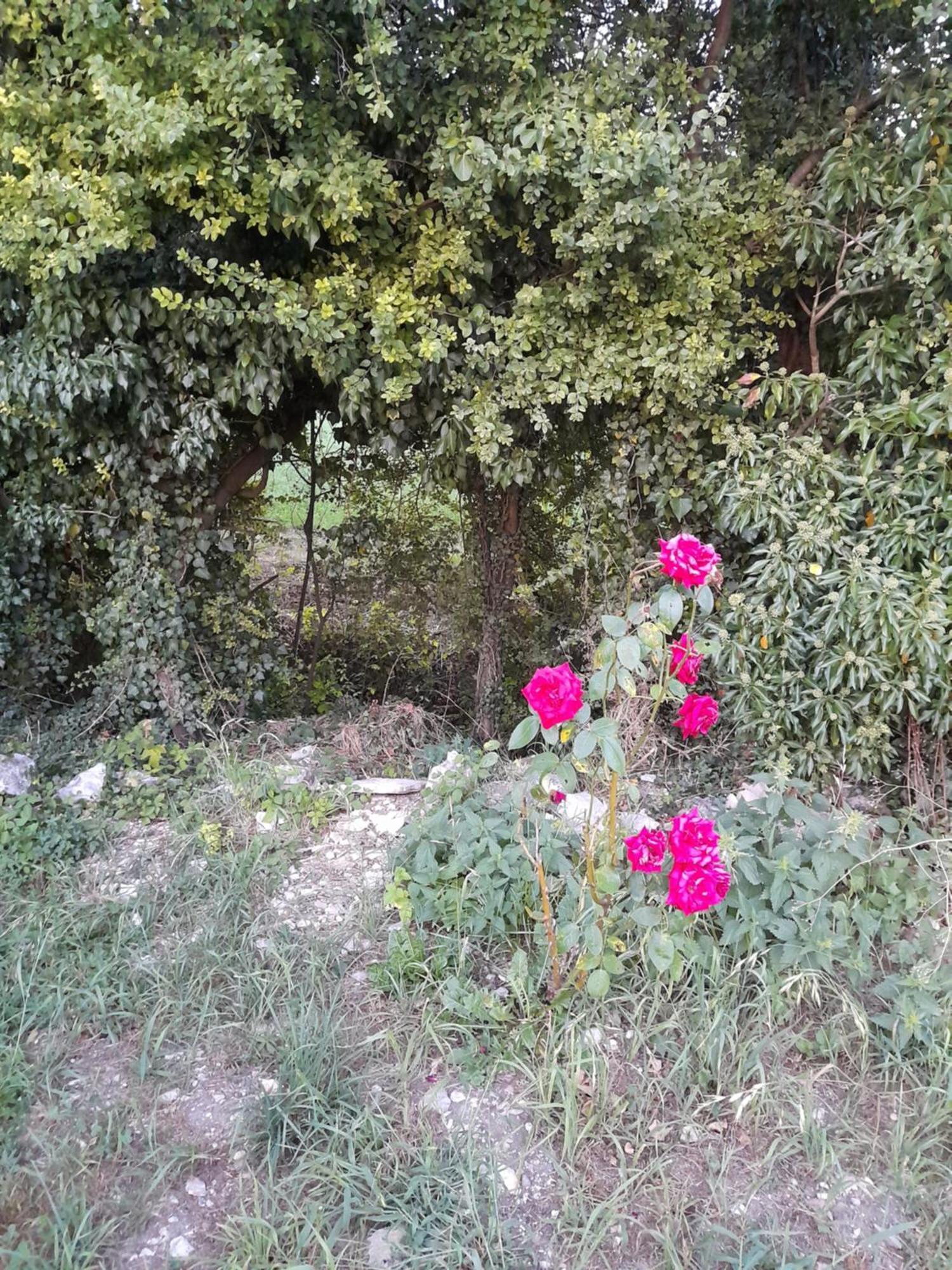 דירות Courtenay  Chambre D'Hote מראה חיצוני תמונה